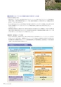 宮崎太陽銀行　ディスクロジャー2013